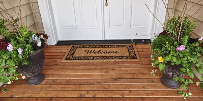 Raccoons-unwelcomed-house-guest-5a787e63b50f3