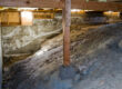 Common Crawlspace Problems
