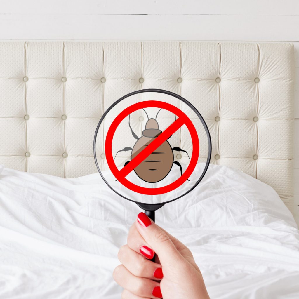How Much Does A Bed Bug Exterminator Cost?