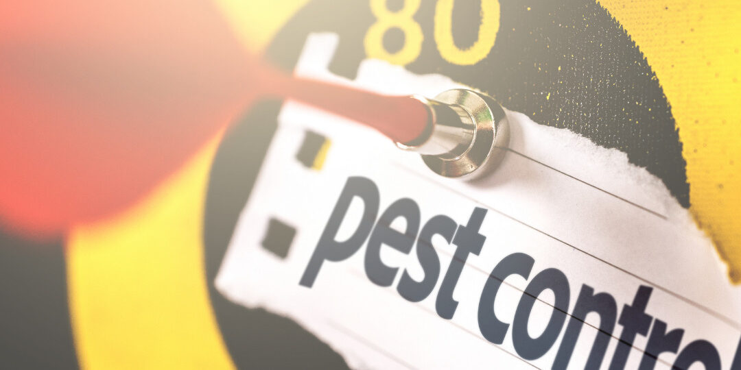 Common Myths About Pest Control Common Myths About Pest Control