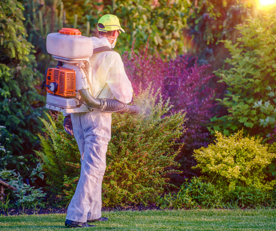 When Should You Hire A Pest Control Company?