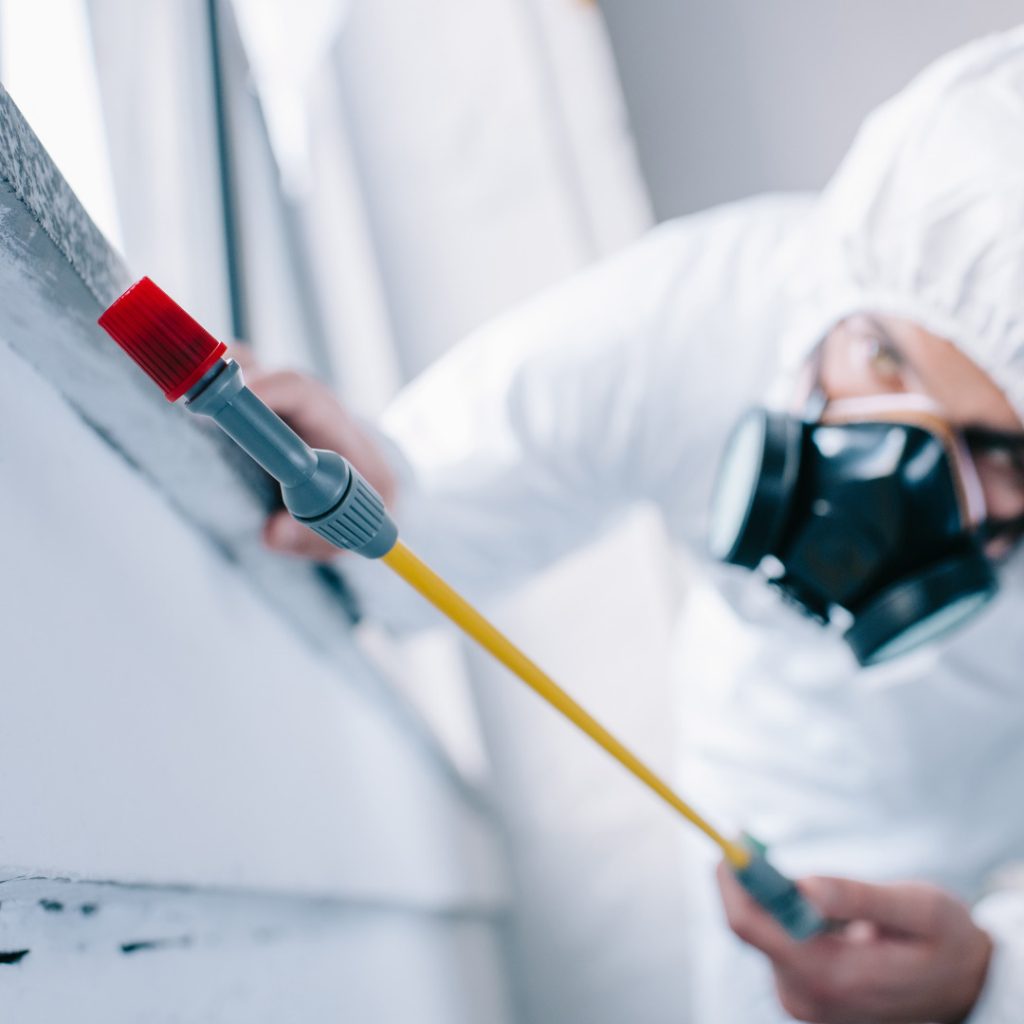 Is Pest Control Worth It?
