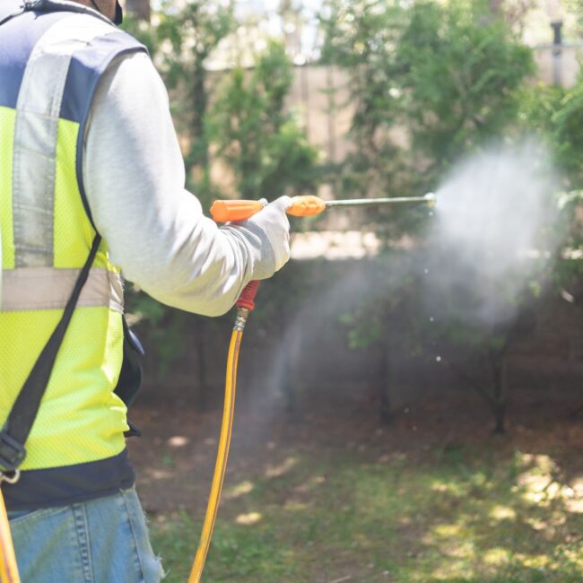pest control cost