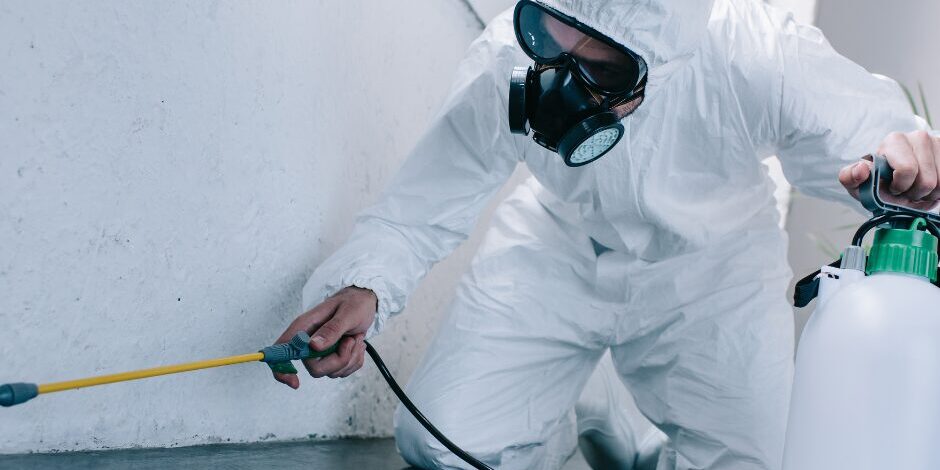 Movou_Bama_Pest Control Price