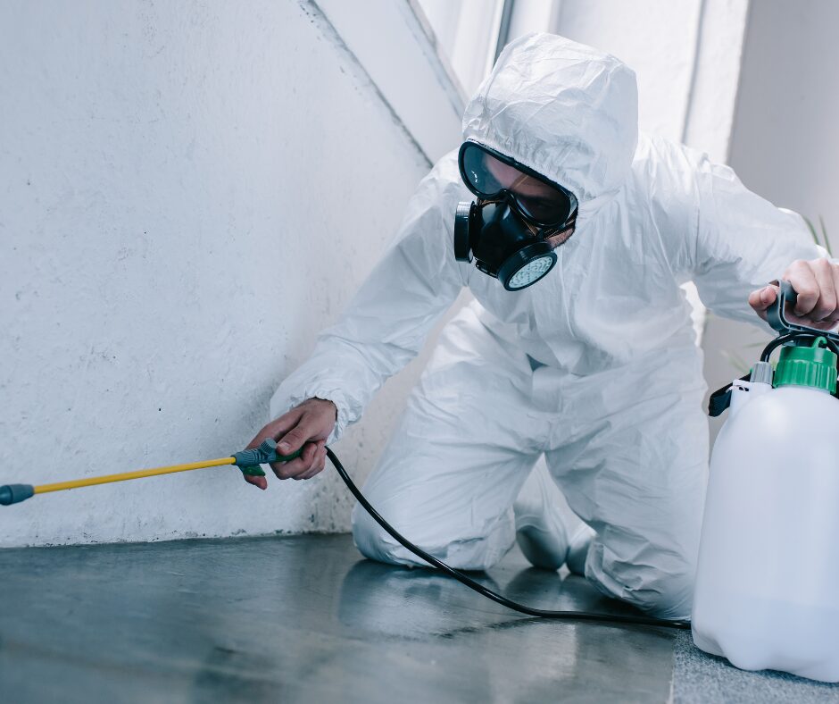 Movou_Bama_Pest Control Price