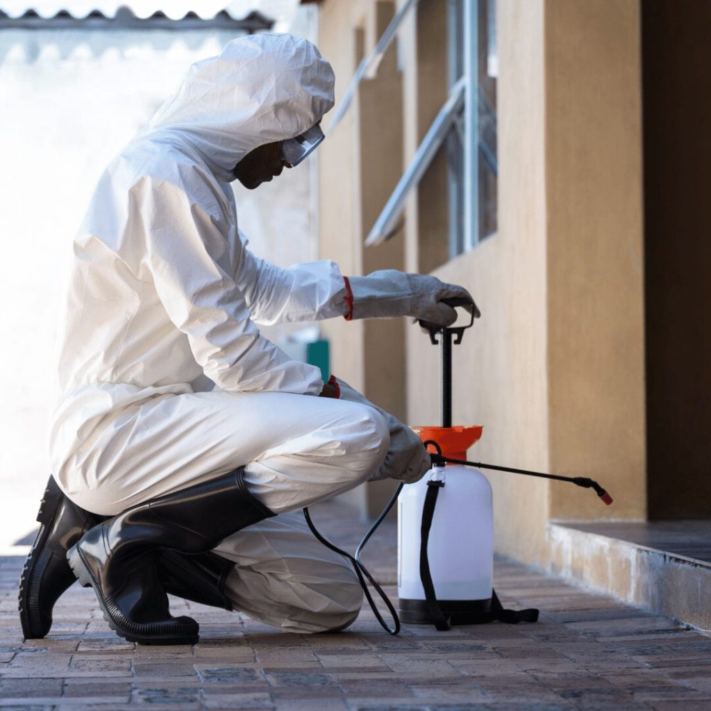 Expert Tips and Professional Solutions for Home Pest Control