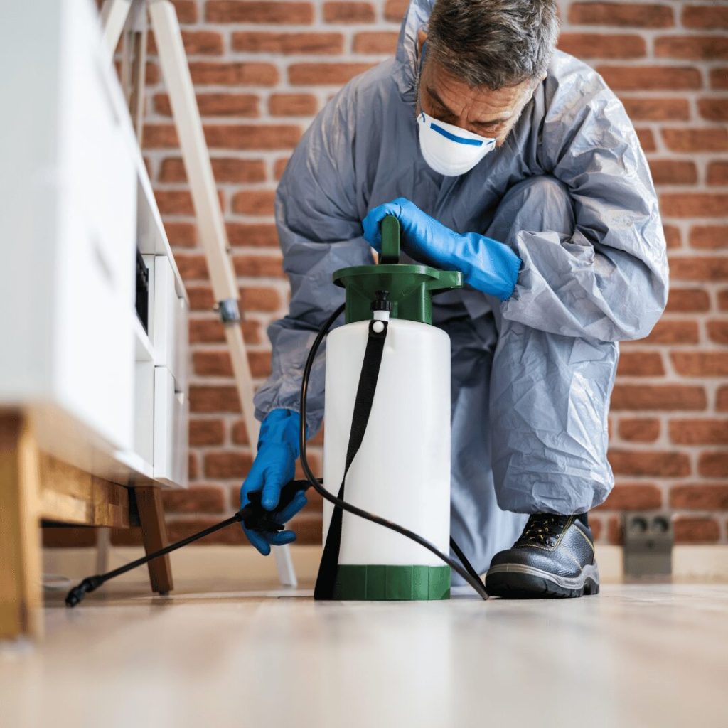 Comprehensive Guide to Commercial Pest Services
