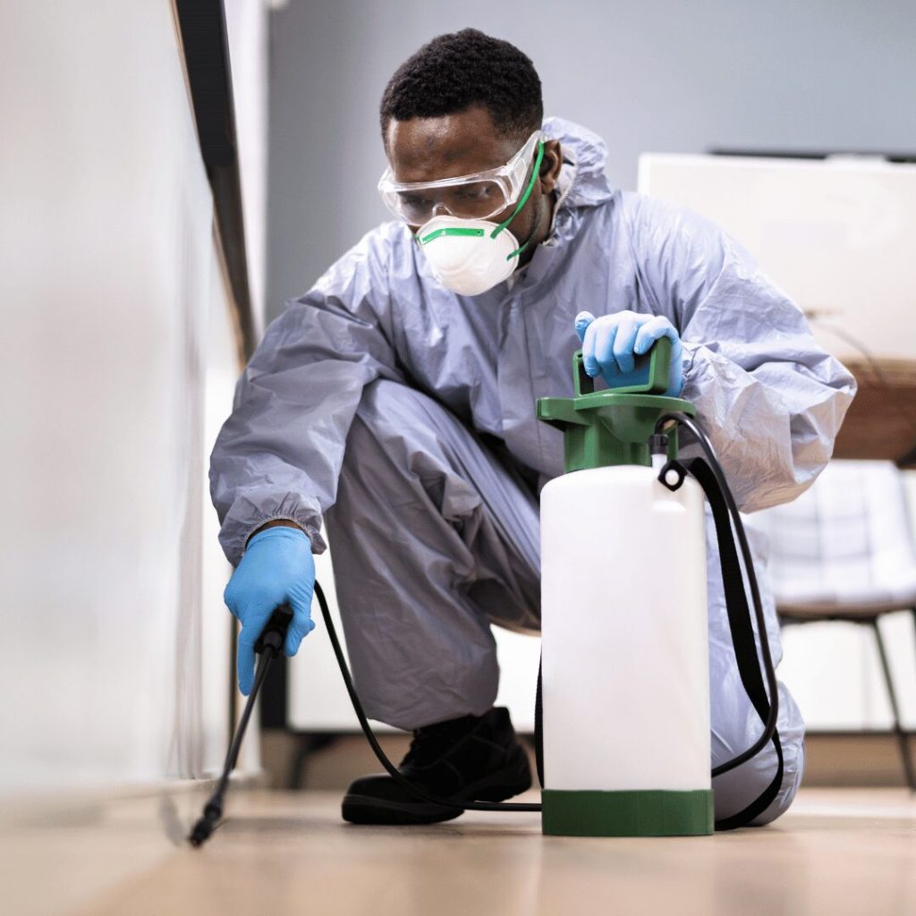 Protecting Your Home with Effective Termite Pest Control