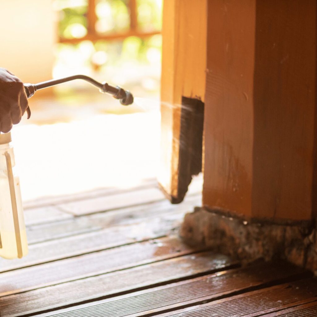 The Most Effective Bed Bug Treatment: Your Guide to Elimination and Prevention
