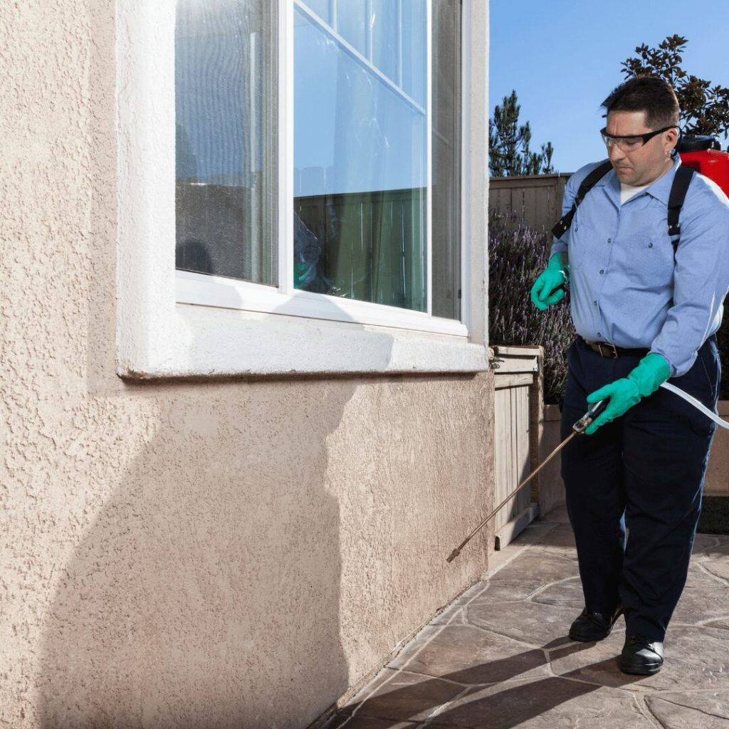 Why Bama Exterminating is the Best Choice for Local Pest Control in Tuscaloosa, Alabama