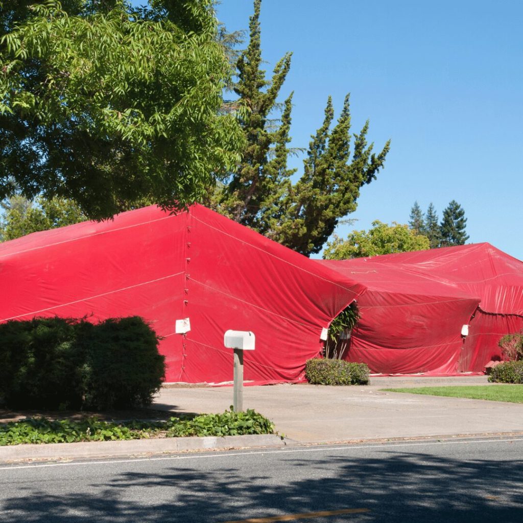 House covered by a red termite fumigation tent