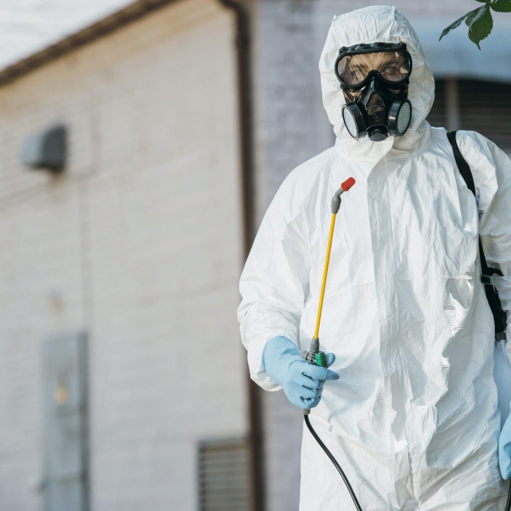 Residential Pest Control Services in Tuscaloosa, AL: Everything Homeowners Need to Know
