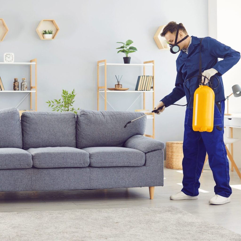 Technician spraying a living room for pests