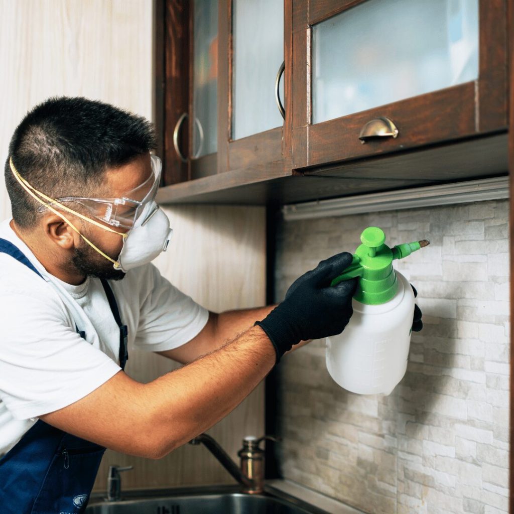Technician spraying a kitchen backsplash for pests