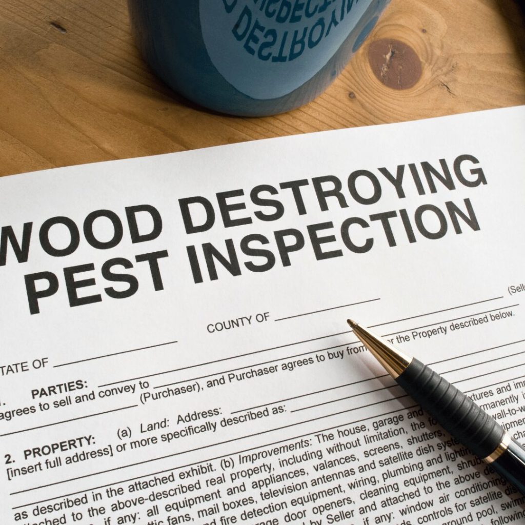 Wood destroying pest inspection report