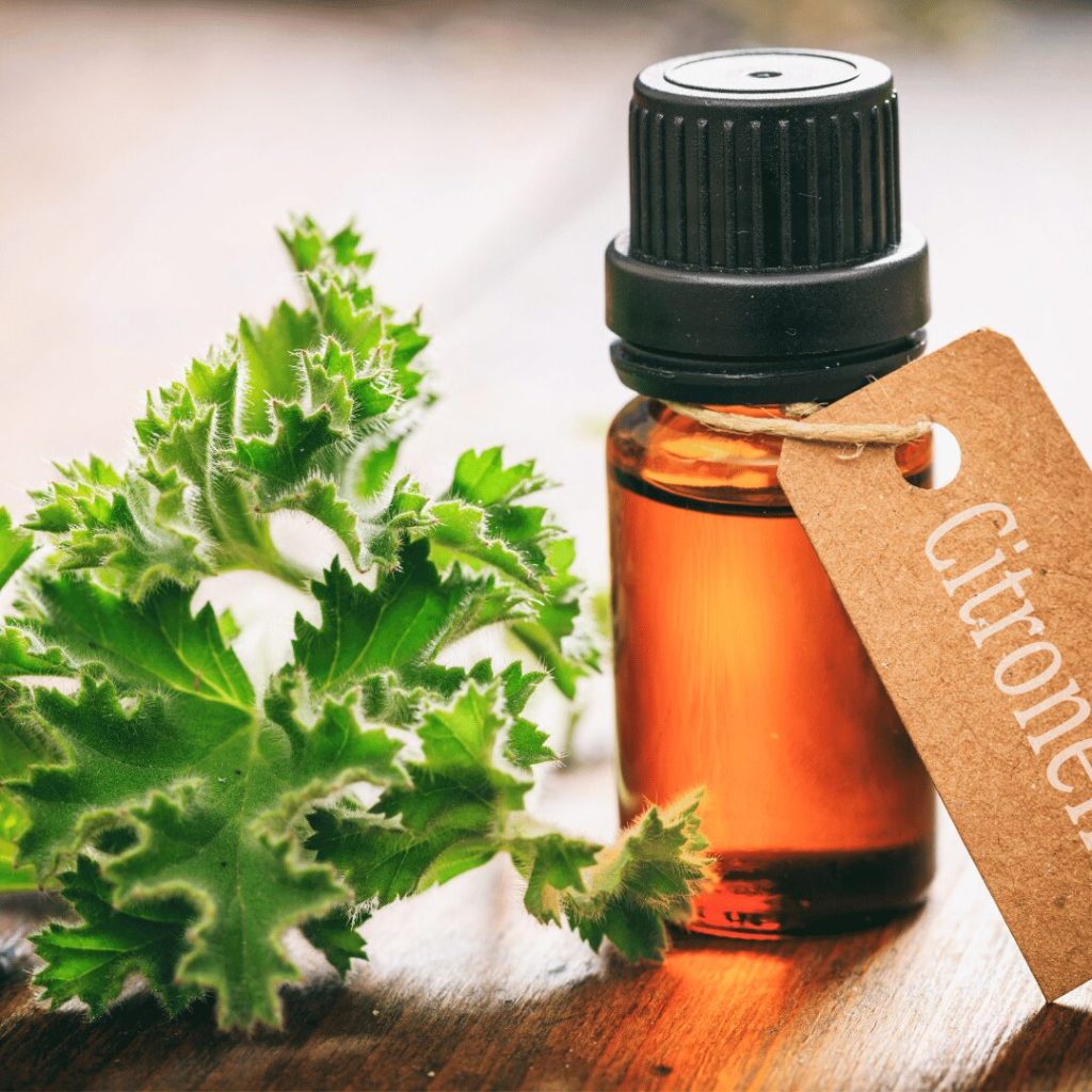 Citronella essential oil bottle