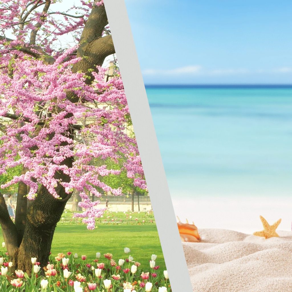 Spring blossoms and a summer beach