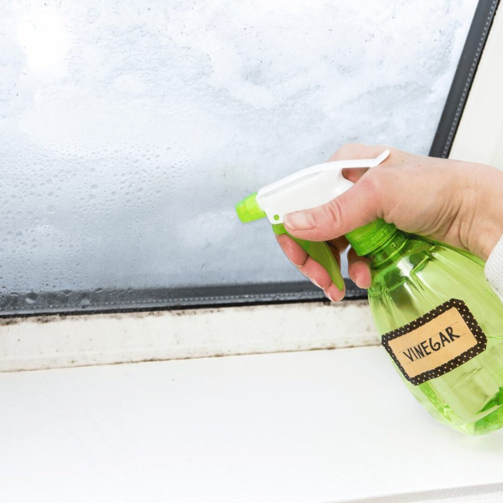 Spraying white vinegar on a window sill