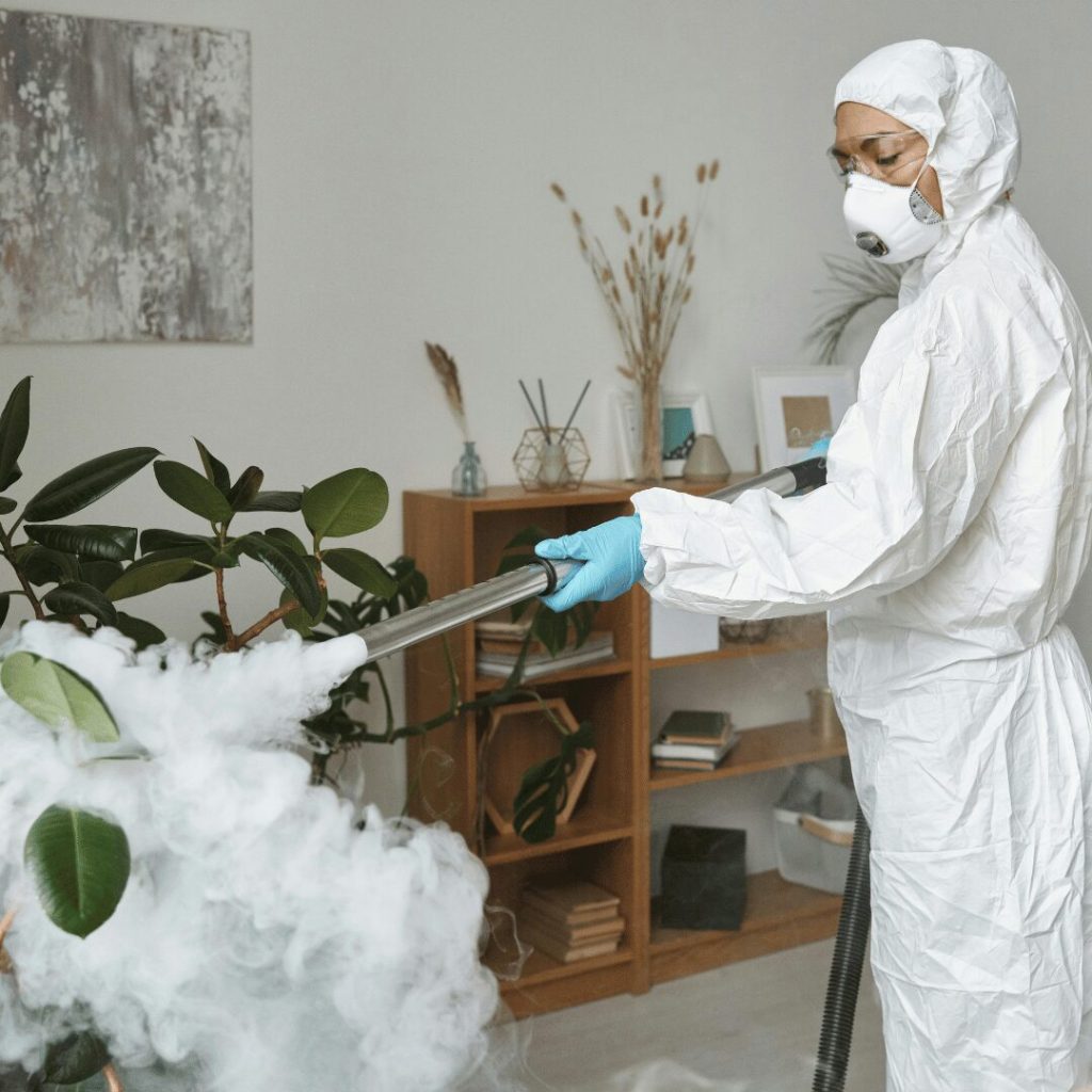Whole House Fumigation