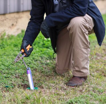 Technician servicing a Sentricon bait station