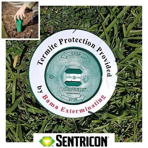 Sentricon termite bait station installed by Bama Exterminating