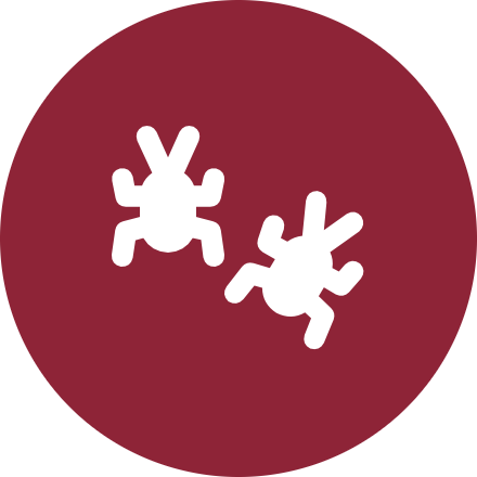 Ants