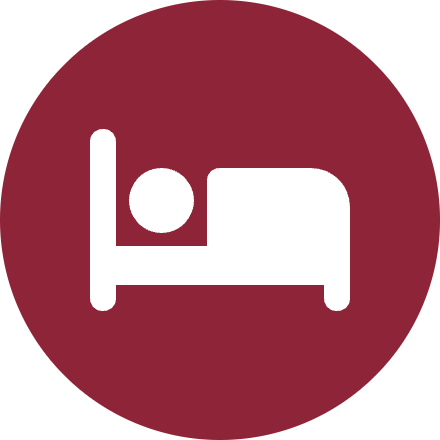 Bed Bugs