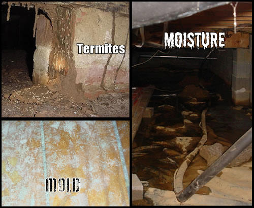 Termite damage, mold and standing moisture found in a crawlspace