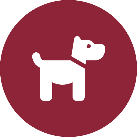 Fleas & Ticks