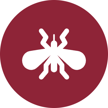 Mosquitoes