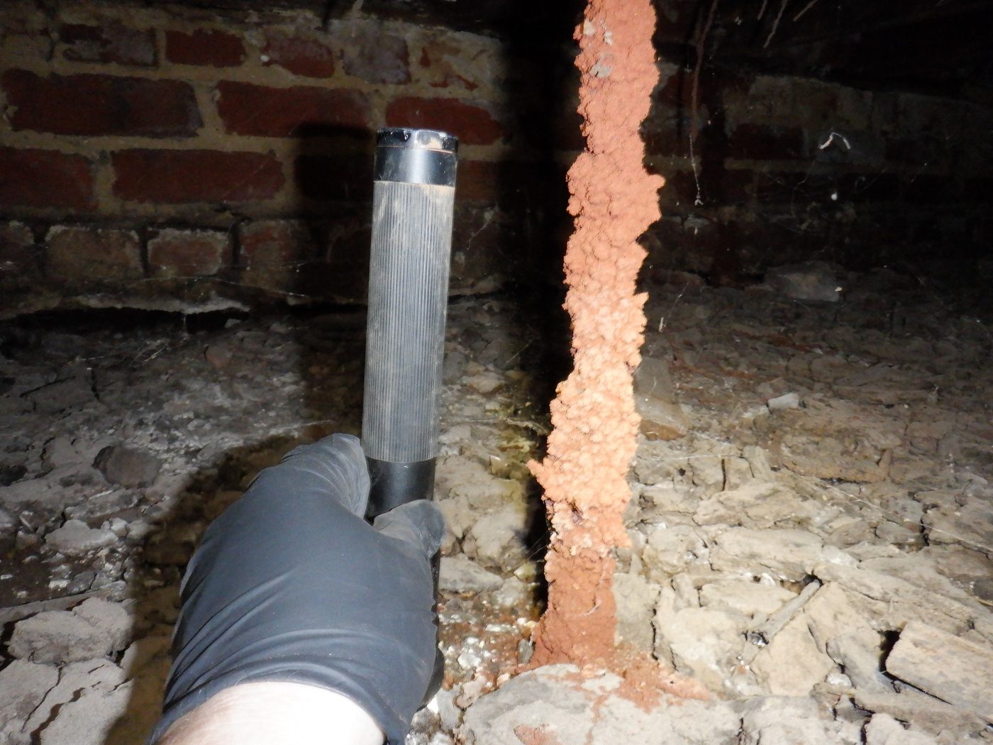Termite mud tube running up from the soil in a crawl space